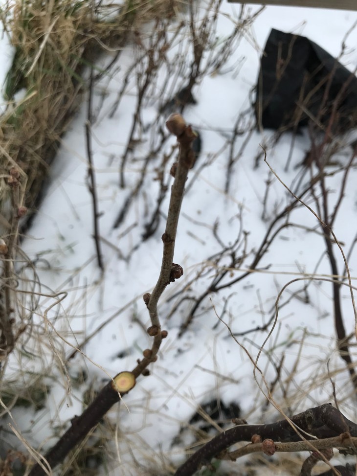 6C52856E-ADF2-4F0D-BF43-4EB56D2B3304