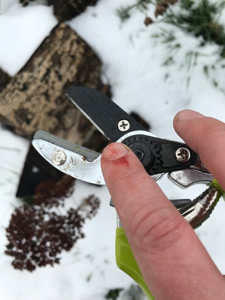 829EDE8E-D30E-4796-BAD8-31800C8D91EB