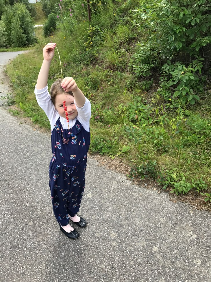 A1A5D2B9-C55B-4224-9B29-004DC4AEA71A