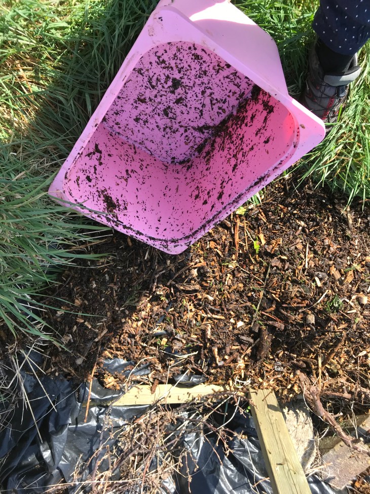 A3B3F712-4619-4CB3-9082-6B16515C0CB8